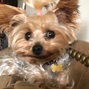 Meet your Posher, Rae